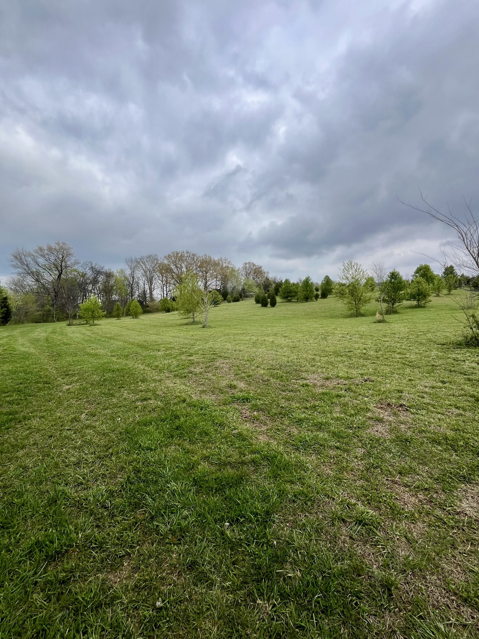 5760 McPherson Road Springfield, TN 37172 - Photo 24 of 25