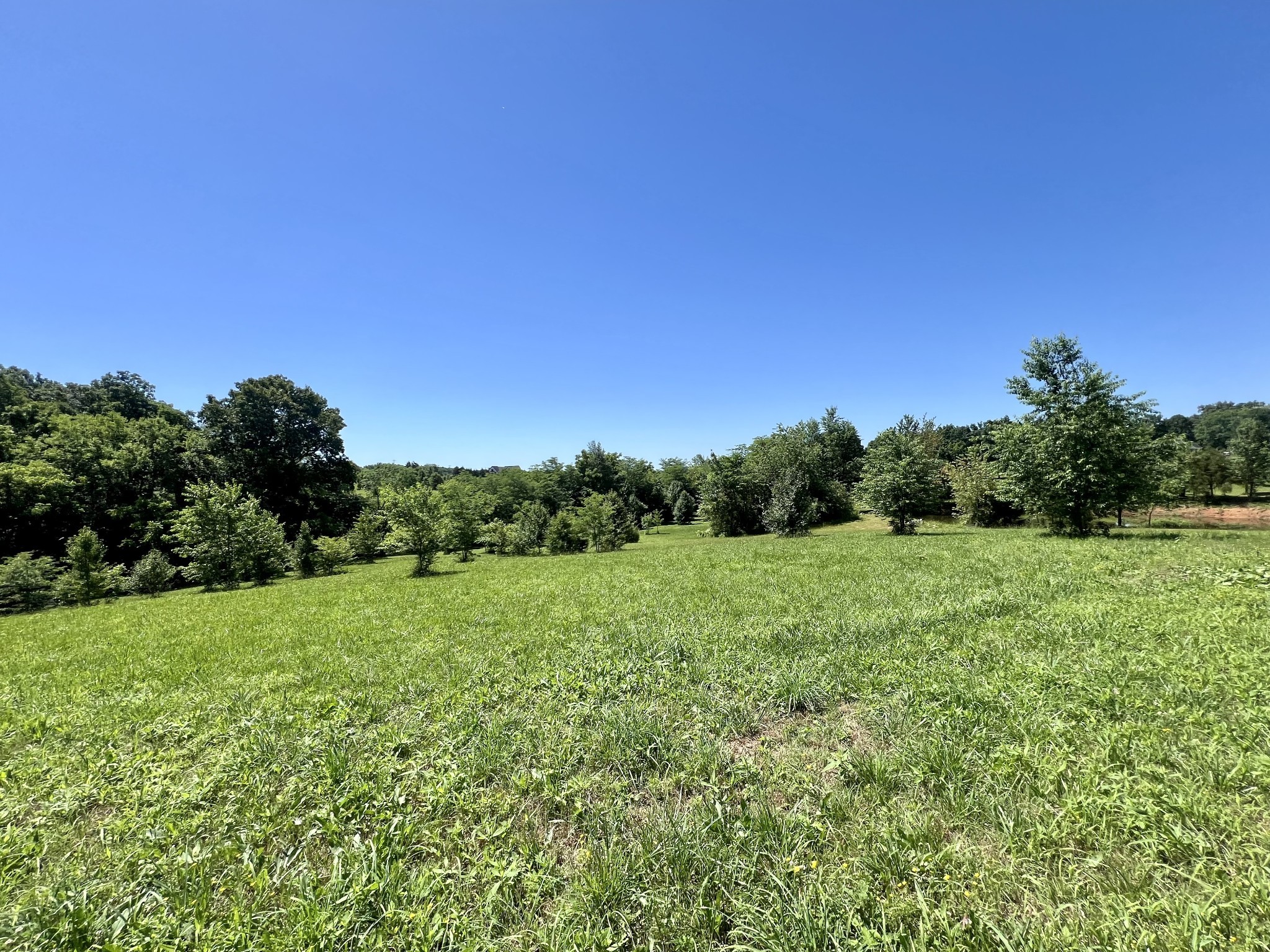 5760 McPherson Road Springfield, TN 37172 - Photo 5 of 25