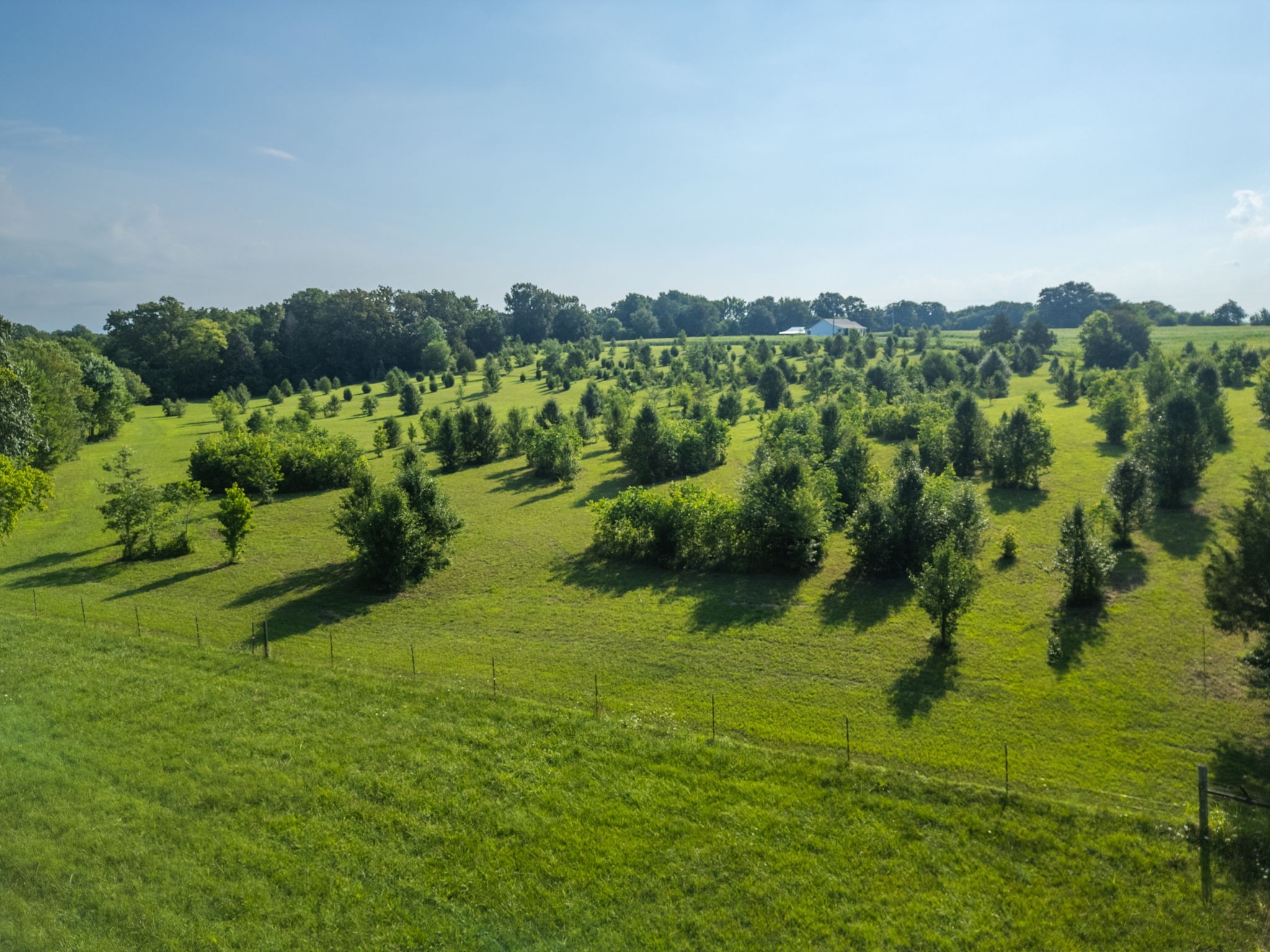5760 McPherson Road Springfield, TN 37172 - Photo 9 of 25