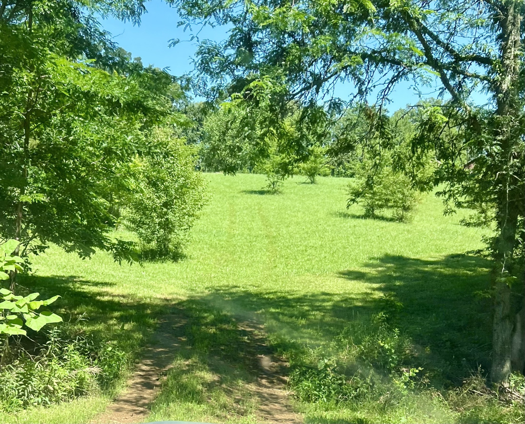 5760 McPherson Road Springfield, TN 37172 - Photo 10 of 25