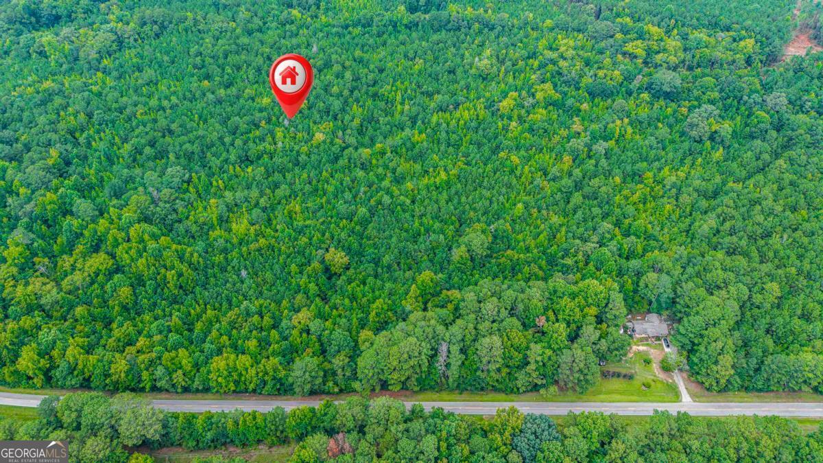 0 Penfield Road Greensboro, GA 30669 - Photo 3 of 15 Gallery Image 3