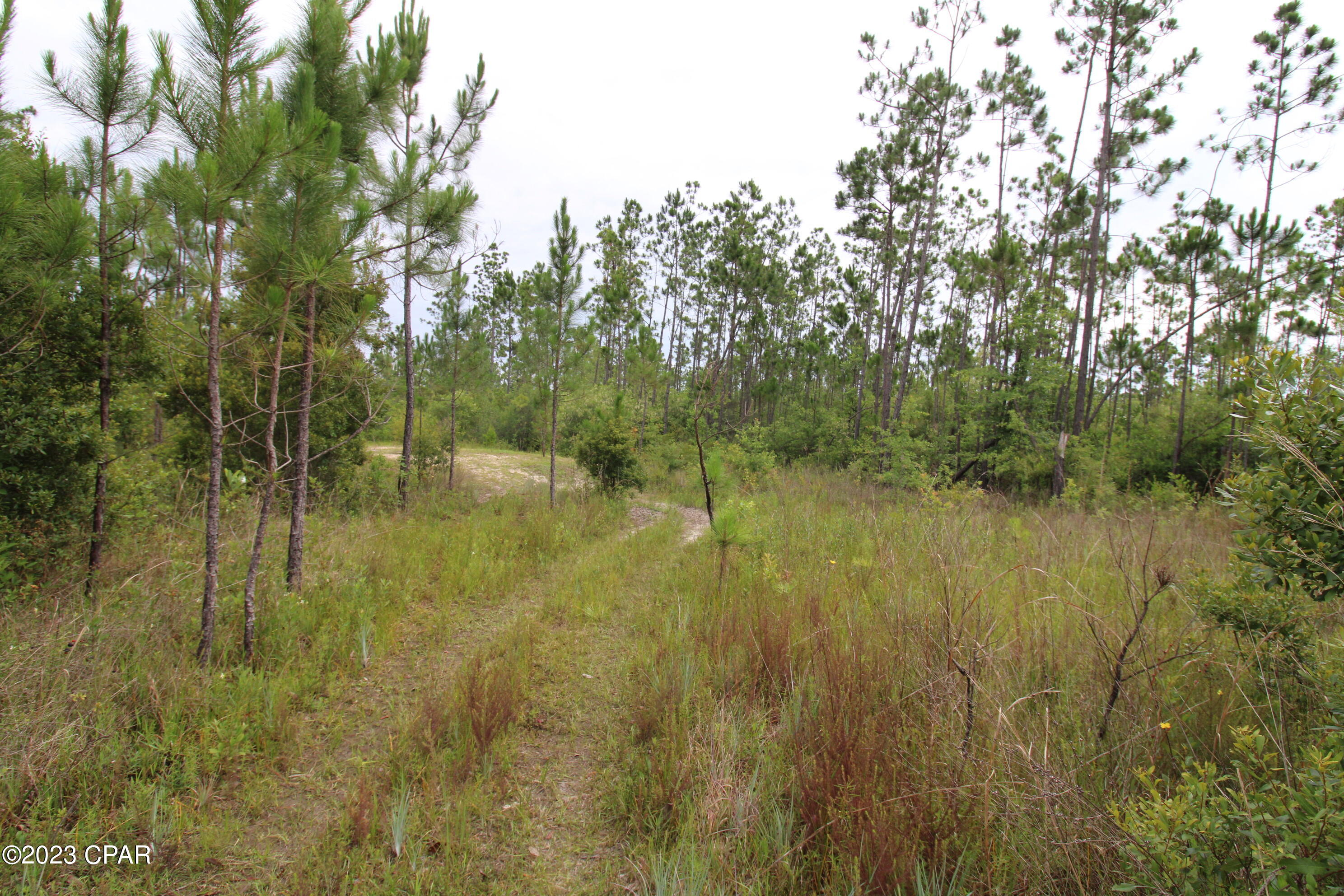 7131 Troy Road Youngstown, FL 32466 - Photo 4 of 8 Gallery Image 4
