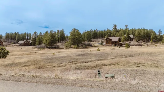 a view of a dry yard with trees