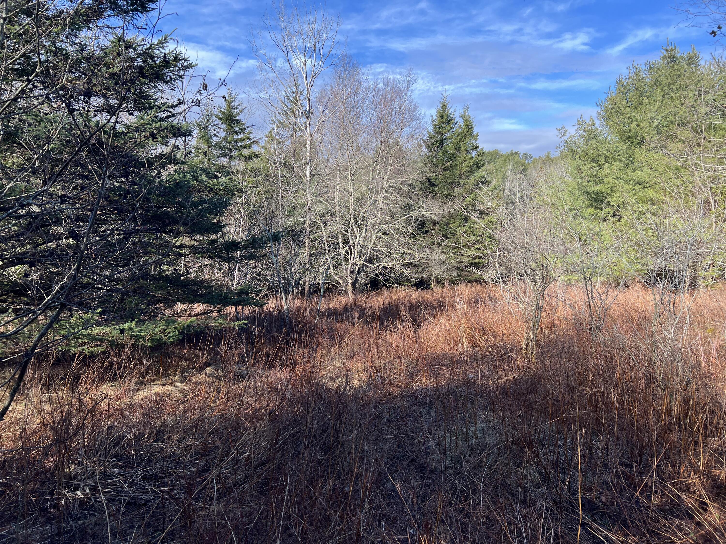 207 Gray Meadow Road Orland, ME 04472 - Photo 2 of 10 IMG_8368