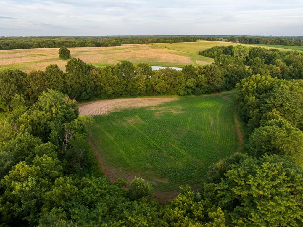 Northeast Marshall Road Hamilton, MO 64644 - Photo 13 of 45
