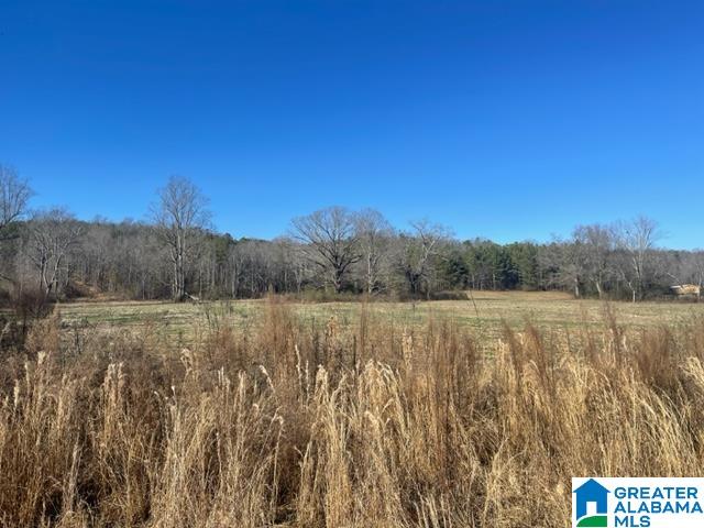 600 Valley Drive Attalla, AL 35954 - Photo 8 of 27