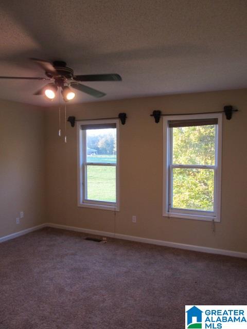 2011 Highway 168 Boaz, AL 35957 - Photo 6 of 37