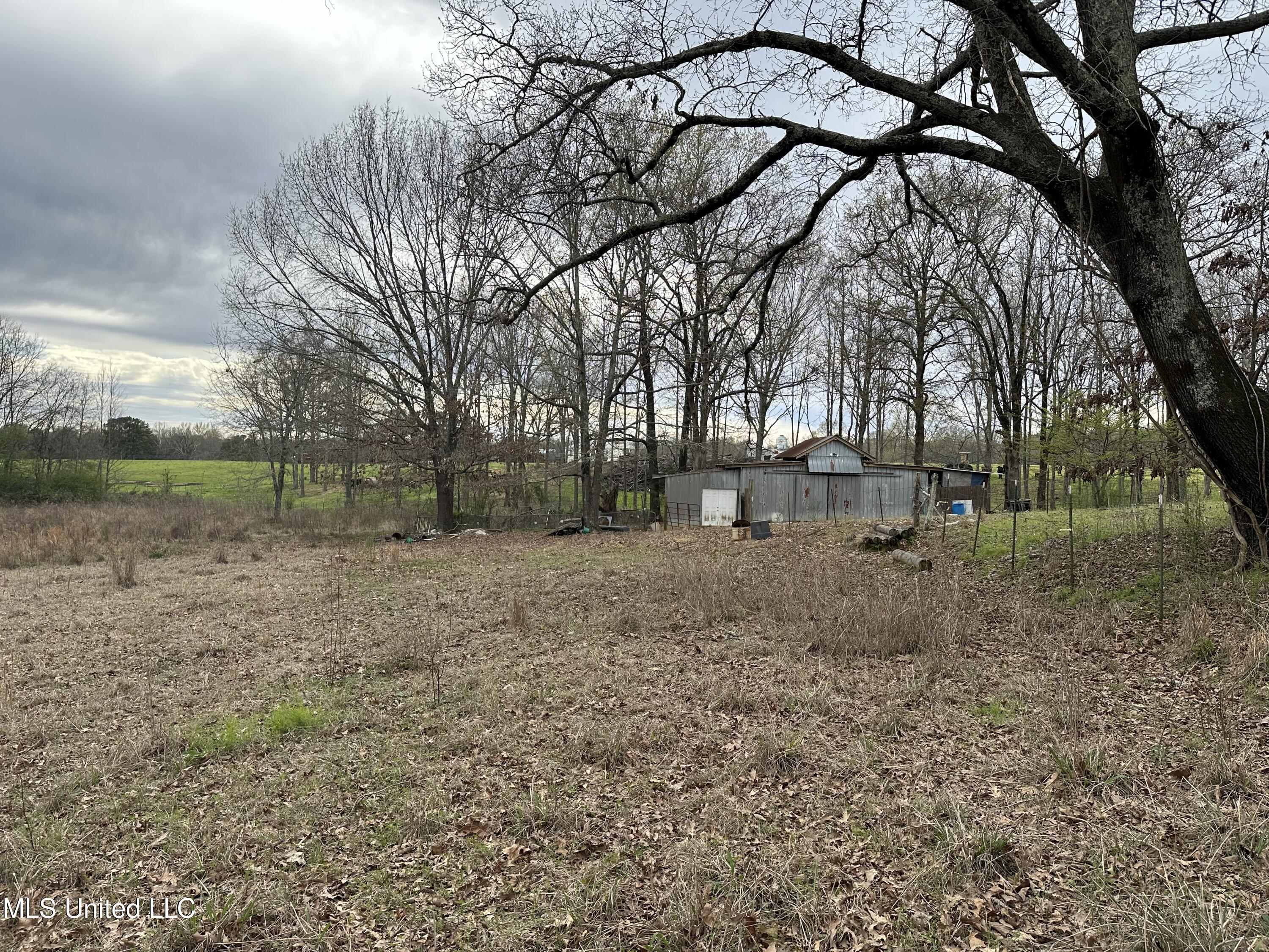 455 Ebenezer-Pickens Road Pickens, MS 39146 - Photo 5 of 11 IMG_2773