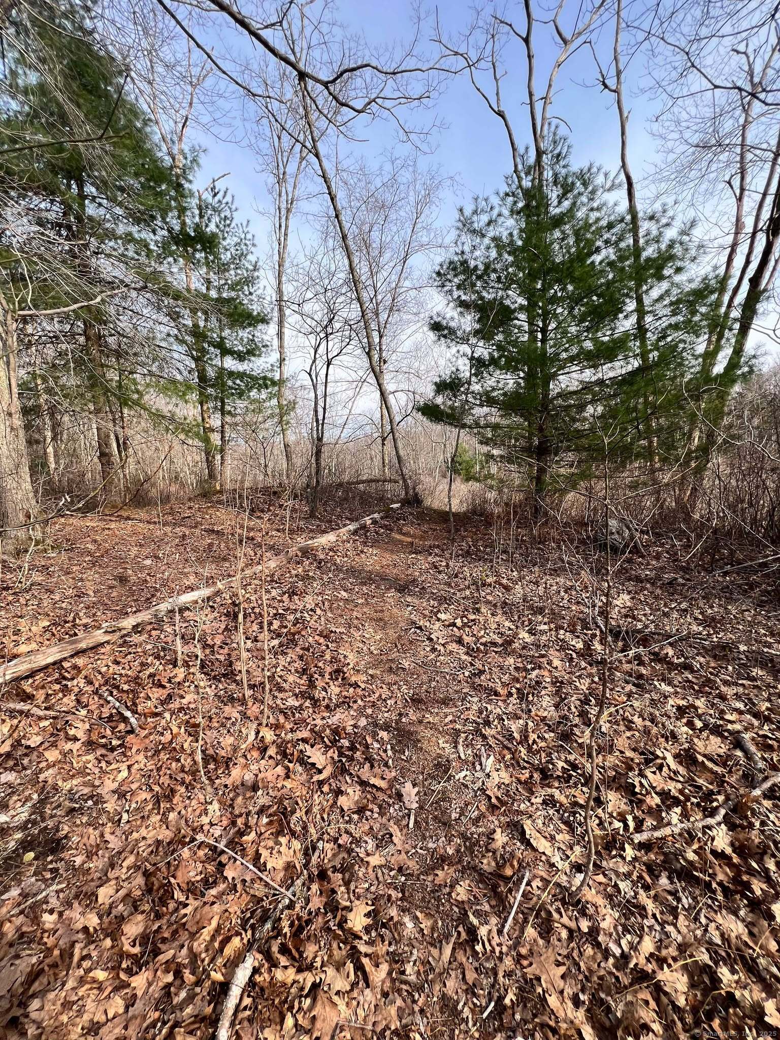 Trail entrance off of Herrick.