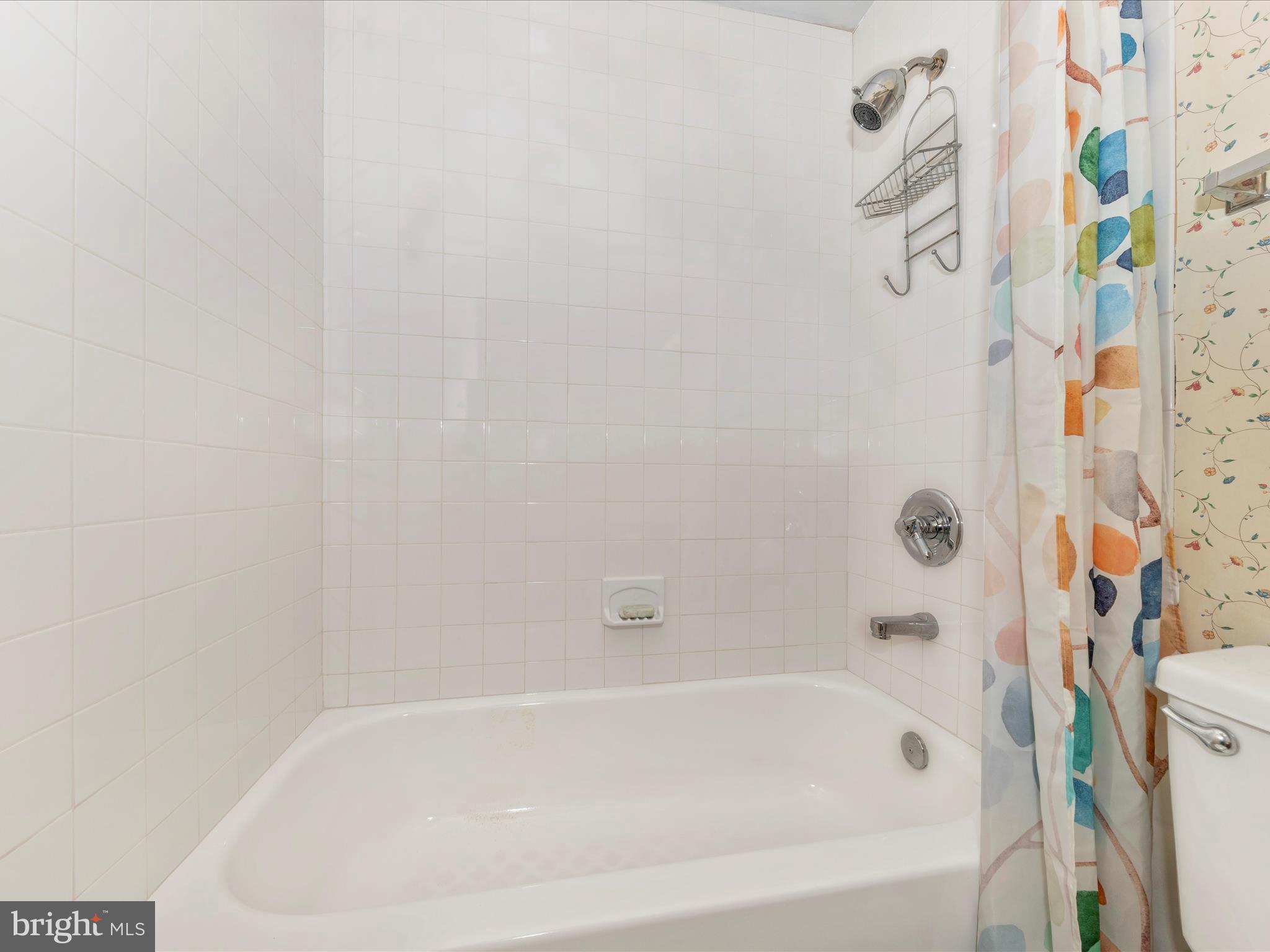 1513 Ingram Terrace Silver Spring, MD 20906 - Photo 36 of 43 Lower Bath
