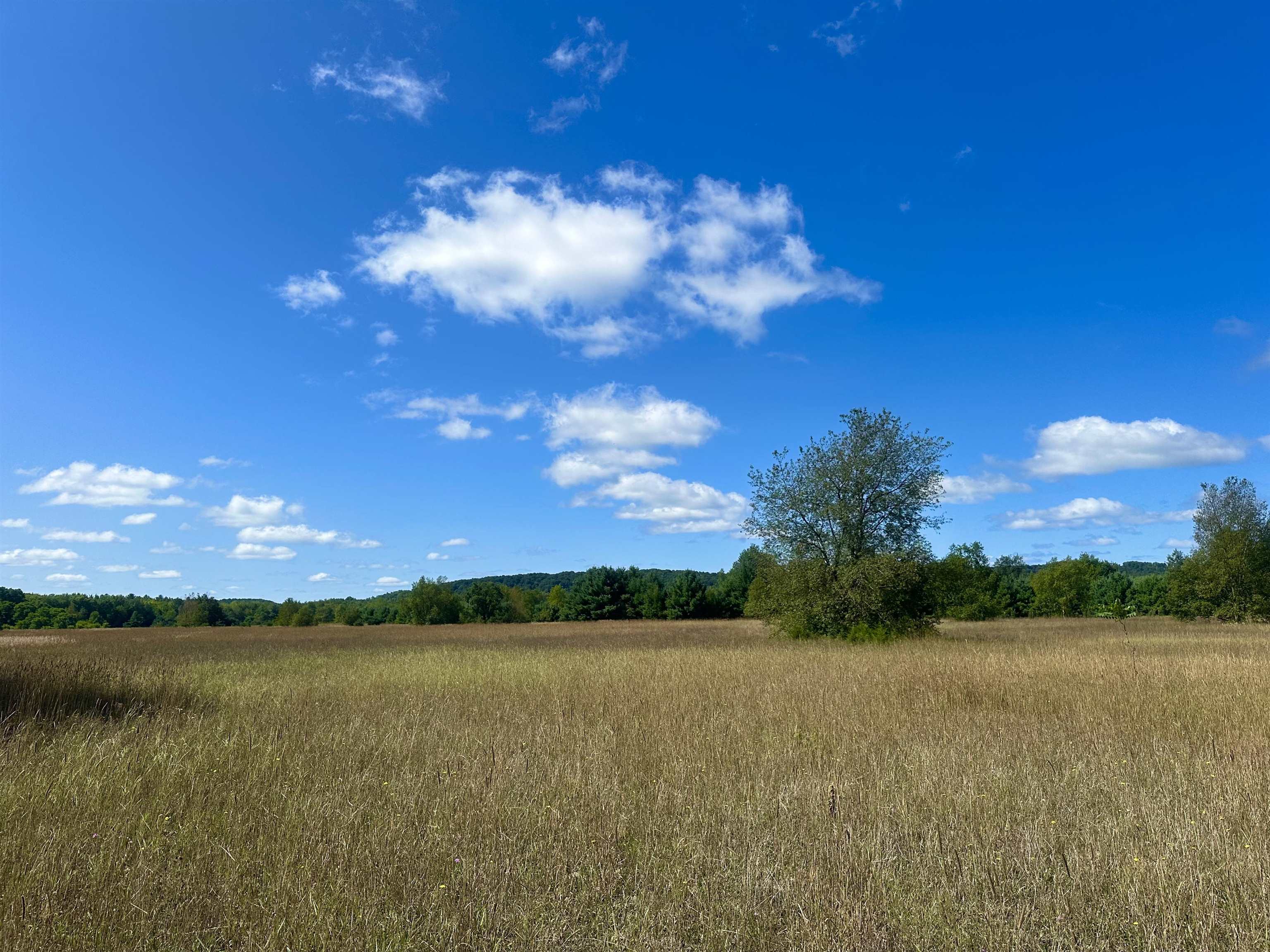0 Psutka Road Thompsonville, MI 49683 - Photo 5 of 12