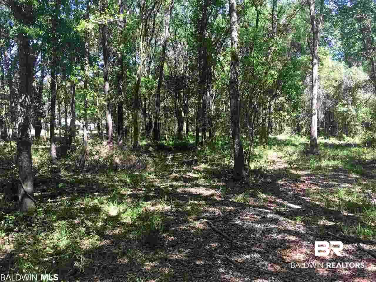 29180 Vlahos Lane Daphne, AL 36526 - Photo 7 of 11