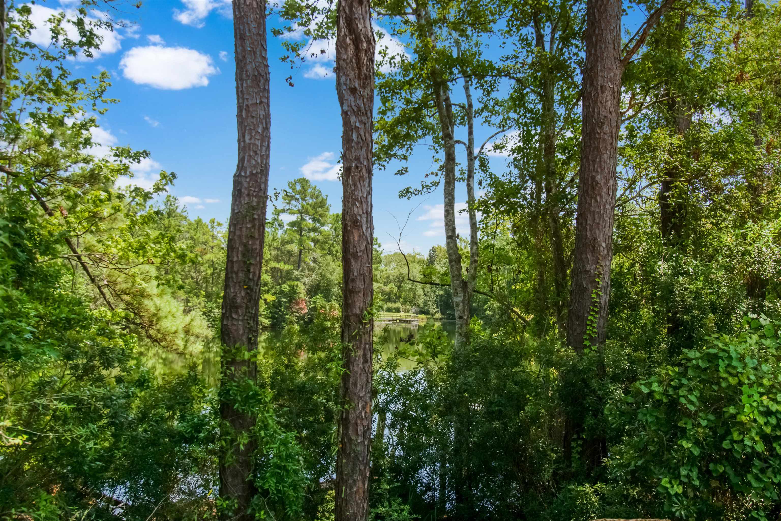 463493 State Road 200 Yulee, FL 32097 - Photo 13 of 20 a plant view