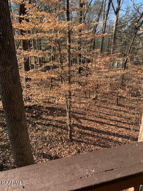 101 High Point Lane Oak Ridge, TN 37830 - Photo 13 of 16 IMG_3295