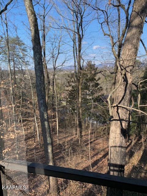 101 High Point Lane Oak Ridge, TN 37830 - Photo 16 of 16 IMG_3294