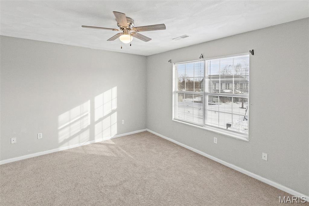 794 Cedar Mill Drive Belleville, IL 62221 - Photo 30 of 41