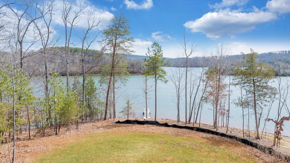 1216 Runaway Bay Road Lynch Station, VA 24571 - Photo 89 of 110 Aerial