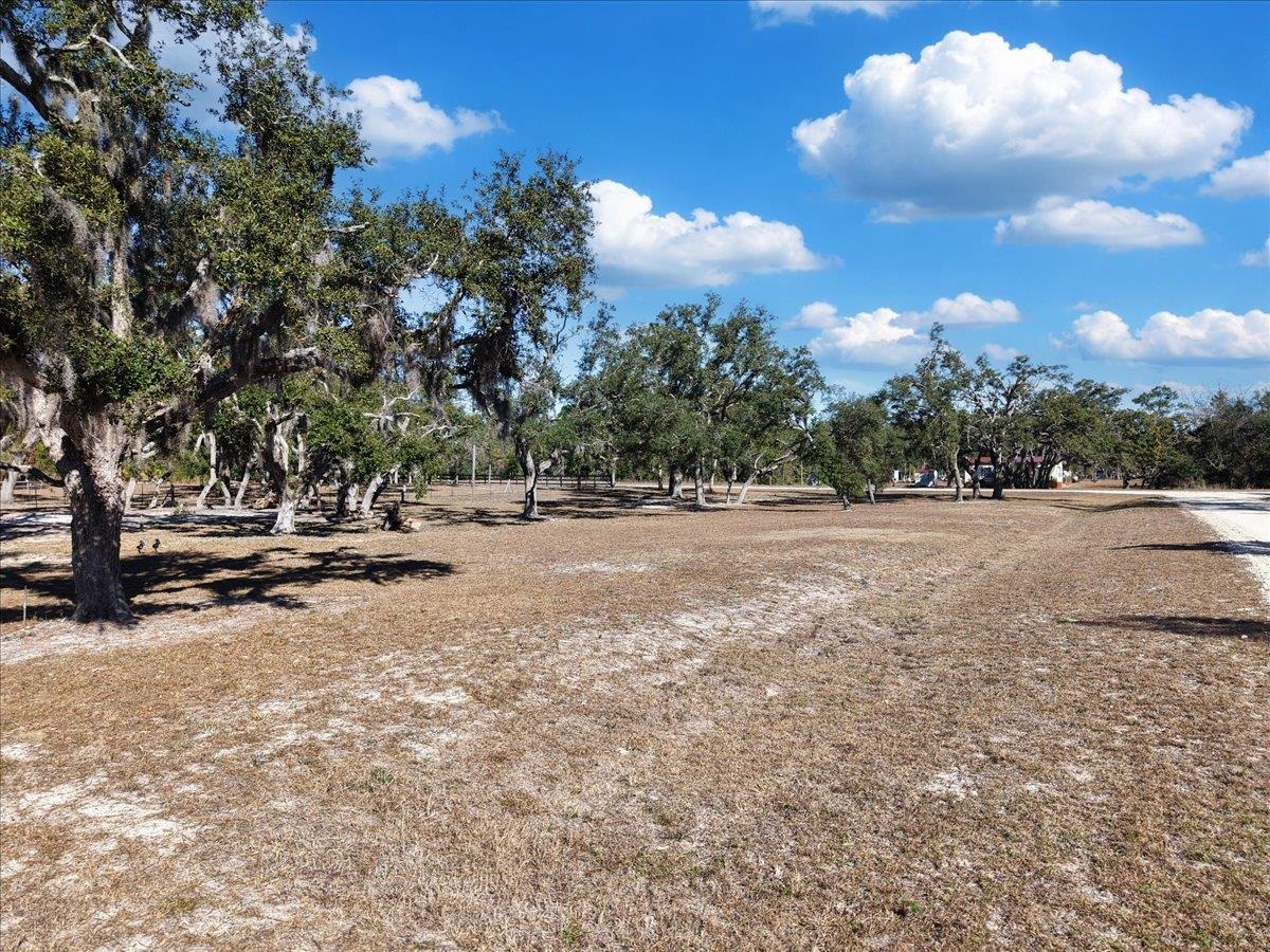 15649 Shell Drive Perry, FL 32348 - Photo 12 of 22