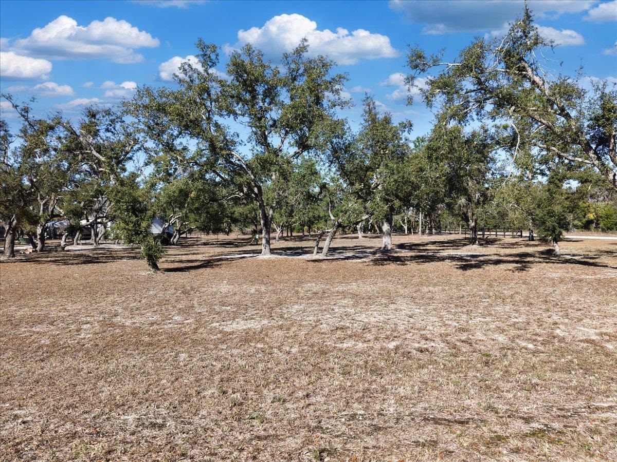 15649 Shell Drive Perry, FL 32348 - Photo 18 of 22