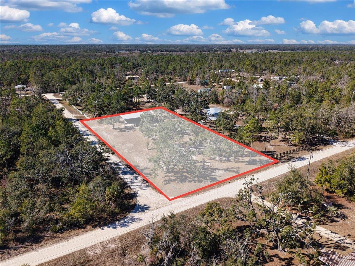 15649 Shell Drive Perry, FL 32348 - Photo 2 of 22