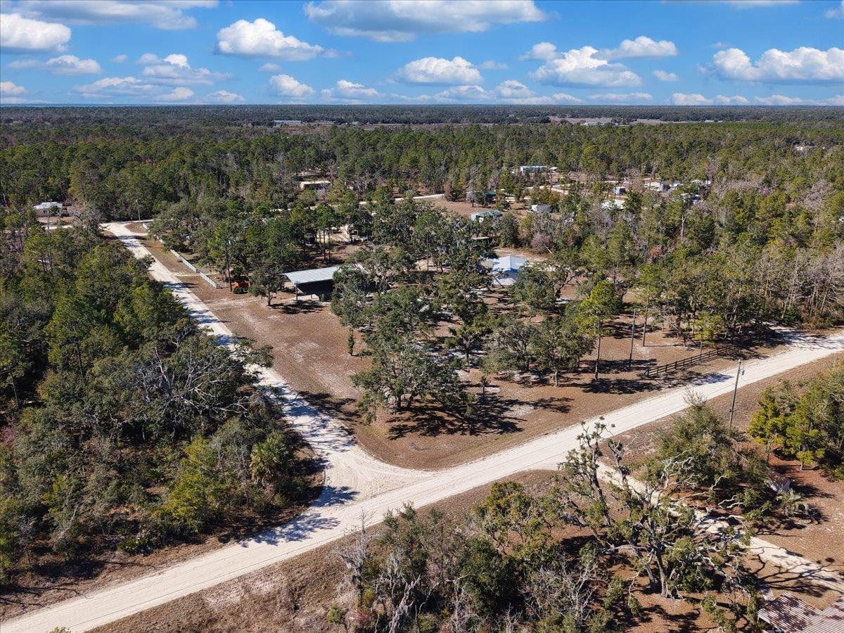 15649 Shell Drive Perry, FL 32348 - Photo 3 of 22