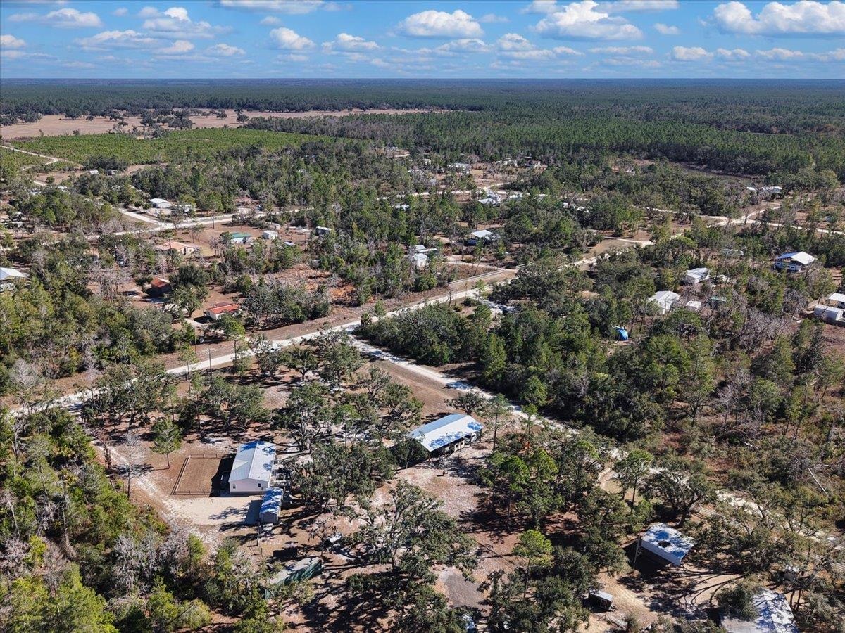 15649 Shell Drive Perry, FL 32348 - Photo 8 of 22