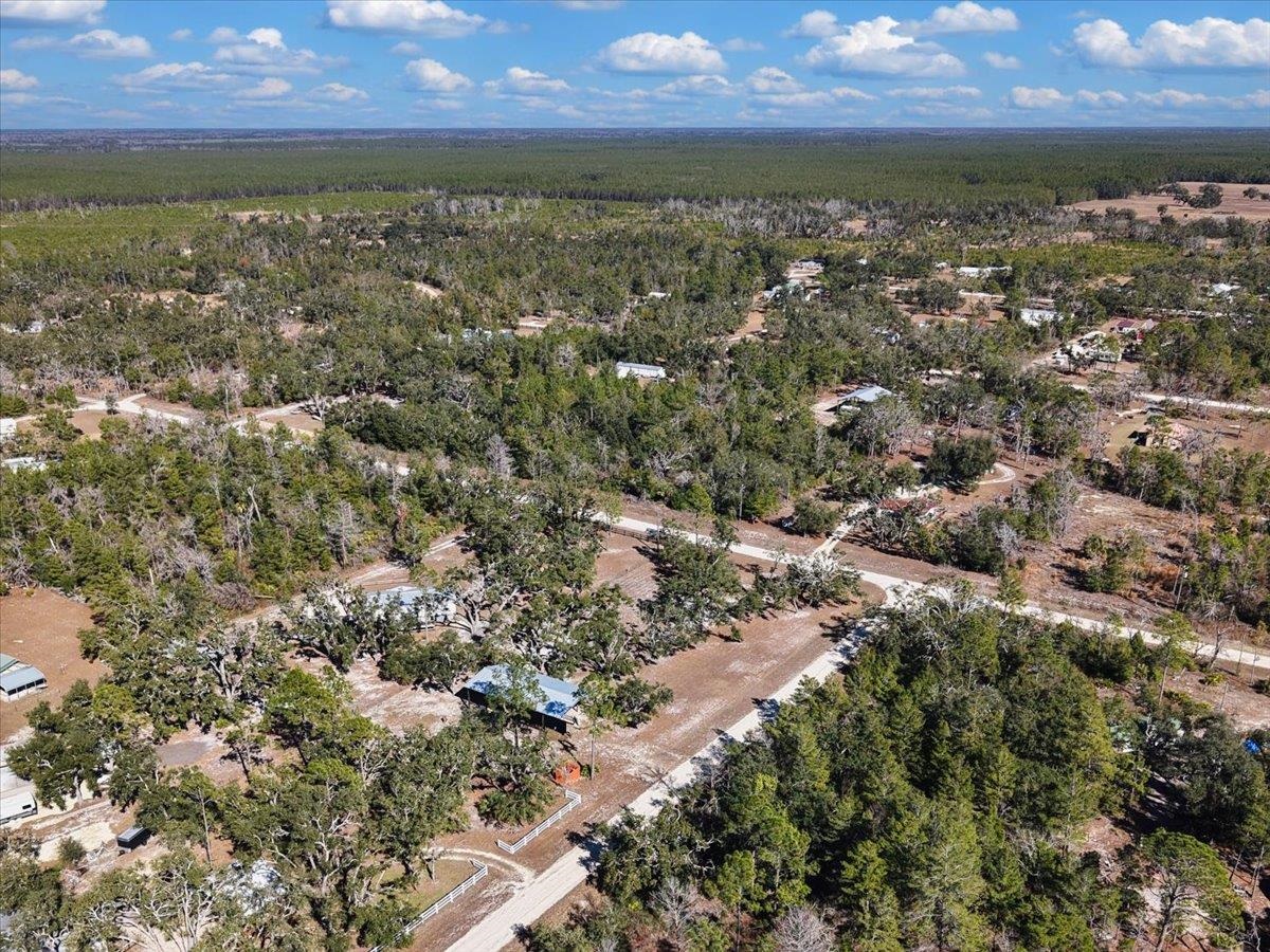 15649 Shell Drive Perry, FL 32348 - Photo 10 of 22