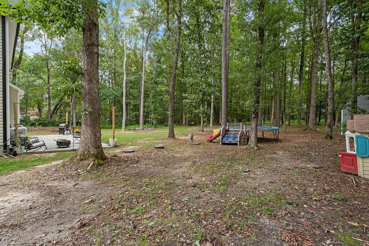 435 Robbins Road Youngsville, NC 27596 - Photo 27 of 27 Photo 28
