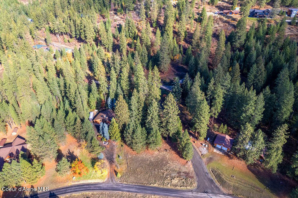 1 Sunset Shores Harrison, ID 83833 - Photo 7 of 21 D