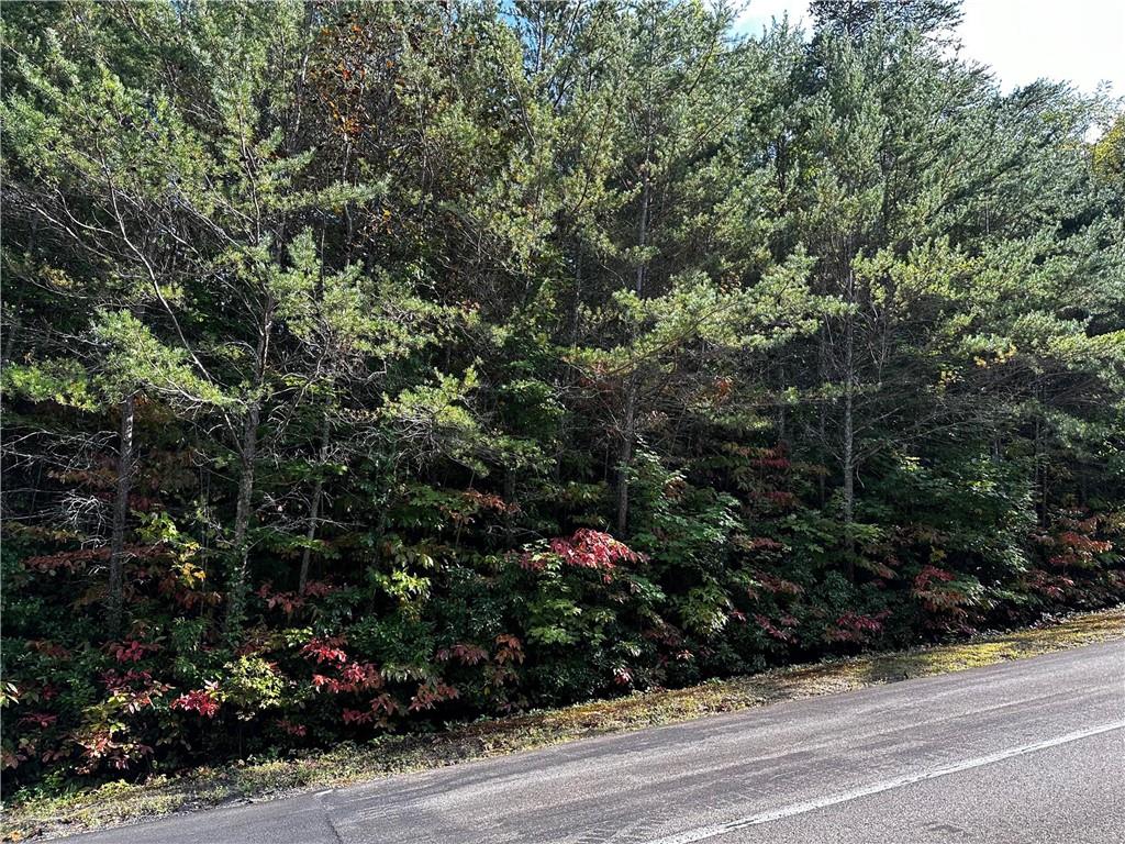 70 St. Andrews Way Jasper, GA 30143 - Photo 11 of 18