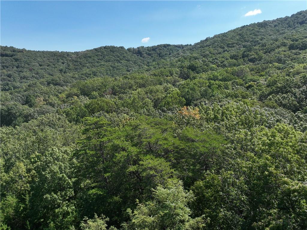 70 St. Andrews Way Jasper, GA 30143 - Photo 14 of 18