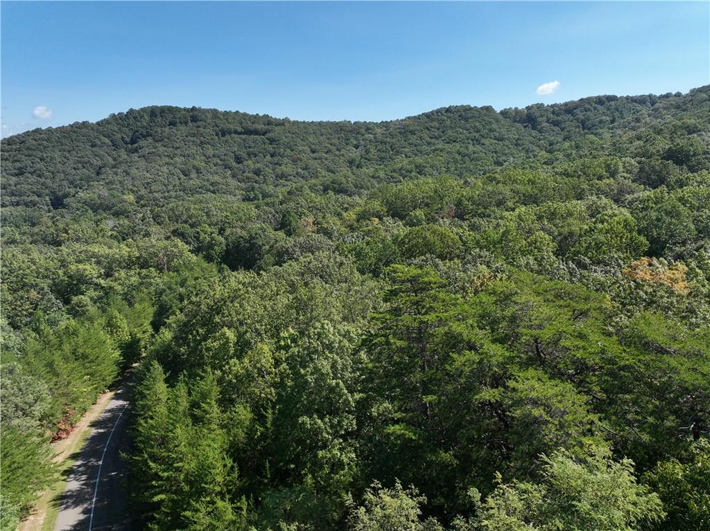 70 St. Andrews Way Jasper, GA 30143 - Photo 17 of 18