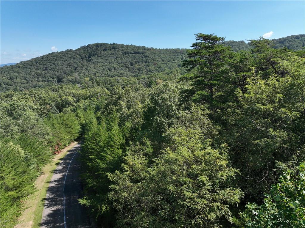 70 St. Andrews Way Jasper, GA 30143 - Photo 6 of 18