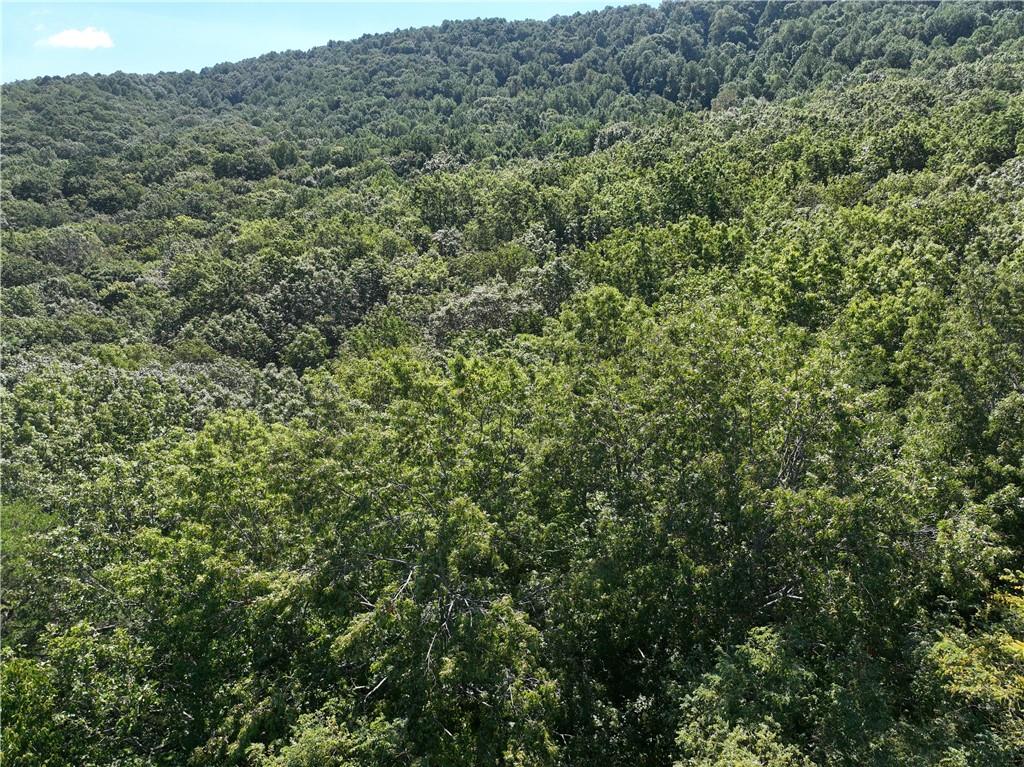 70 St. Andrews Way Jasper, GA 30143 - Photo 7 of 18