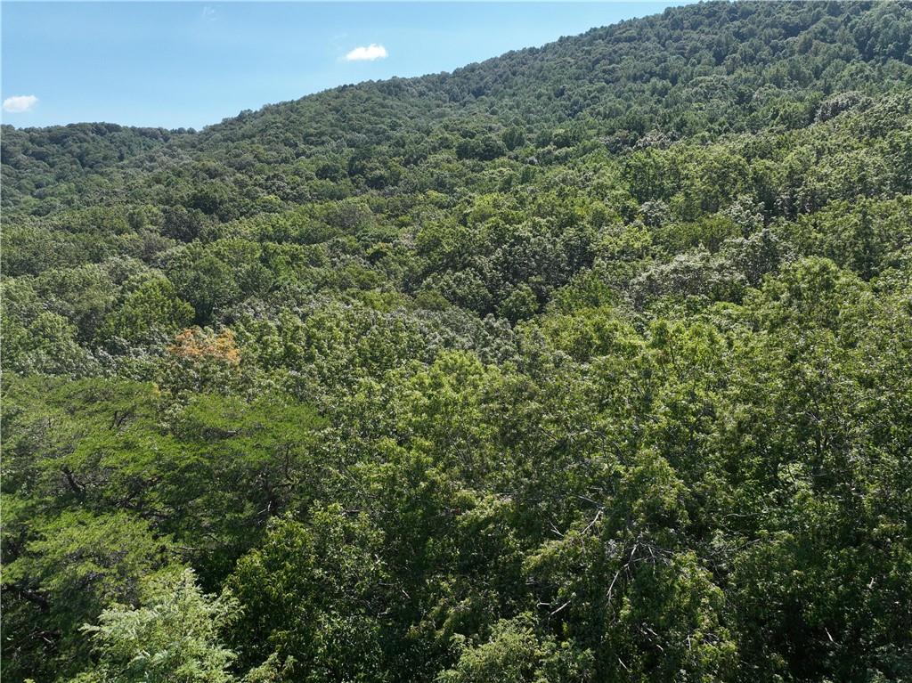 70 St. Andrews Way Jasper, GA 30143 - Photo 8 of 18