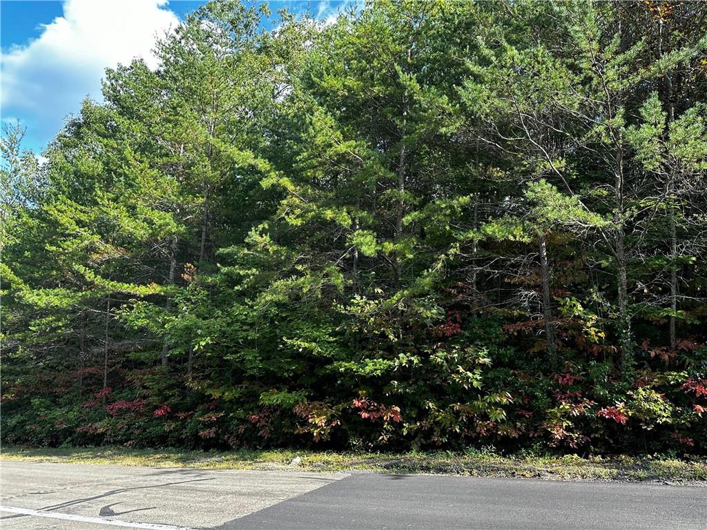 70 St. Andrews Way Jasper, GA 30143 - Photo 9 of 18