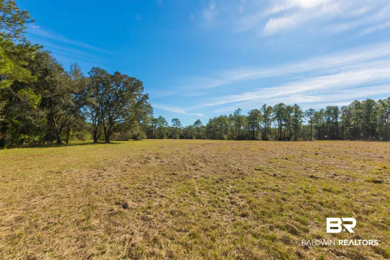 21801 County Road 28 Foley, AL 36535 - Photo 23 of 41