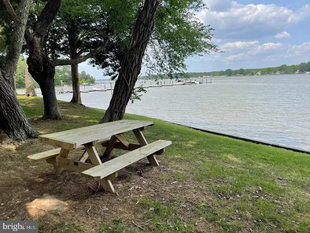 a view of a patio with table and chairs under an umbrella with large trees