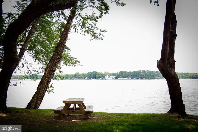 a view of a lake with a mountain in the back