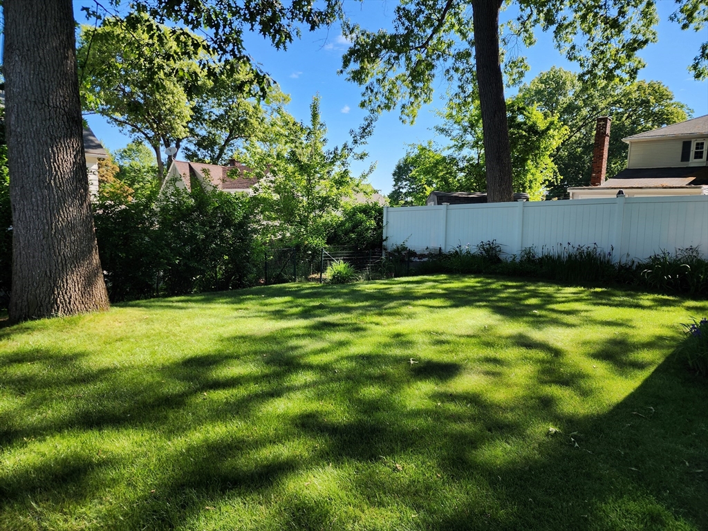 235 Chalmers Street Springfield, MA 01118 - Photo 5 of 29