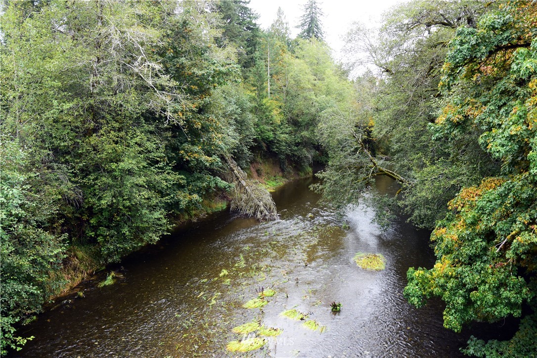 -xxx Cougar Smith Road Elma, WA 98541 - Photo 1 of 12