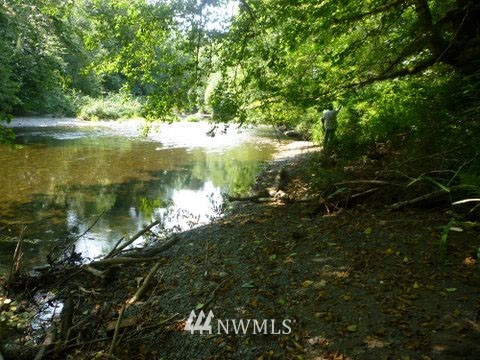 -xxx Cougar Smith Road Elma, WA 98541 - Photo 2 of 12