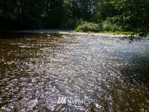 -xxx Cougar Smith Road Elma, WA 98541 - Photo 3 of 12