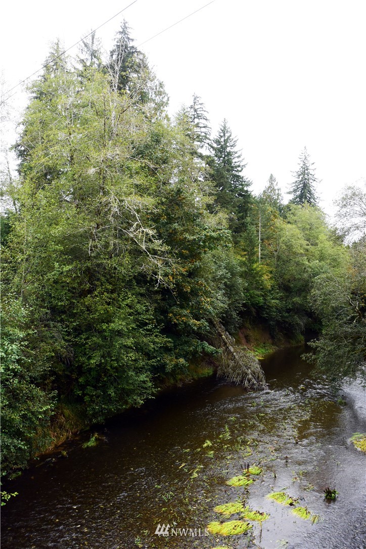 -xxx Cougar Smith Road Elma, WA 98541 - Photo 7 of 12