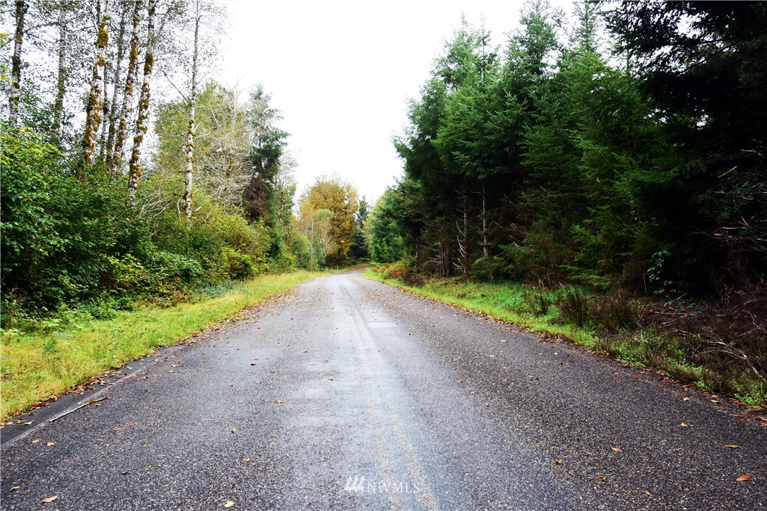 -xxx Cougar Smith Road Elma, WA 98541 - Photo 10 of 12