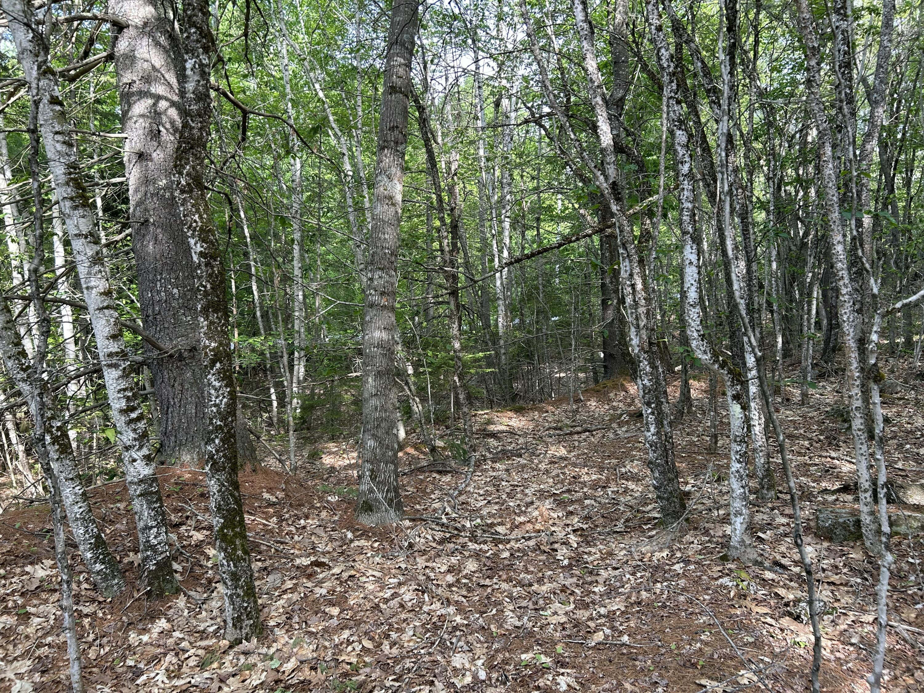 M5-l16 Clark Road Prospect, ME 04981 - Photo 19 of 45 IMG_8760