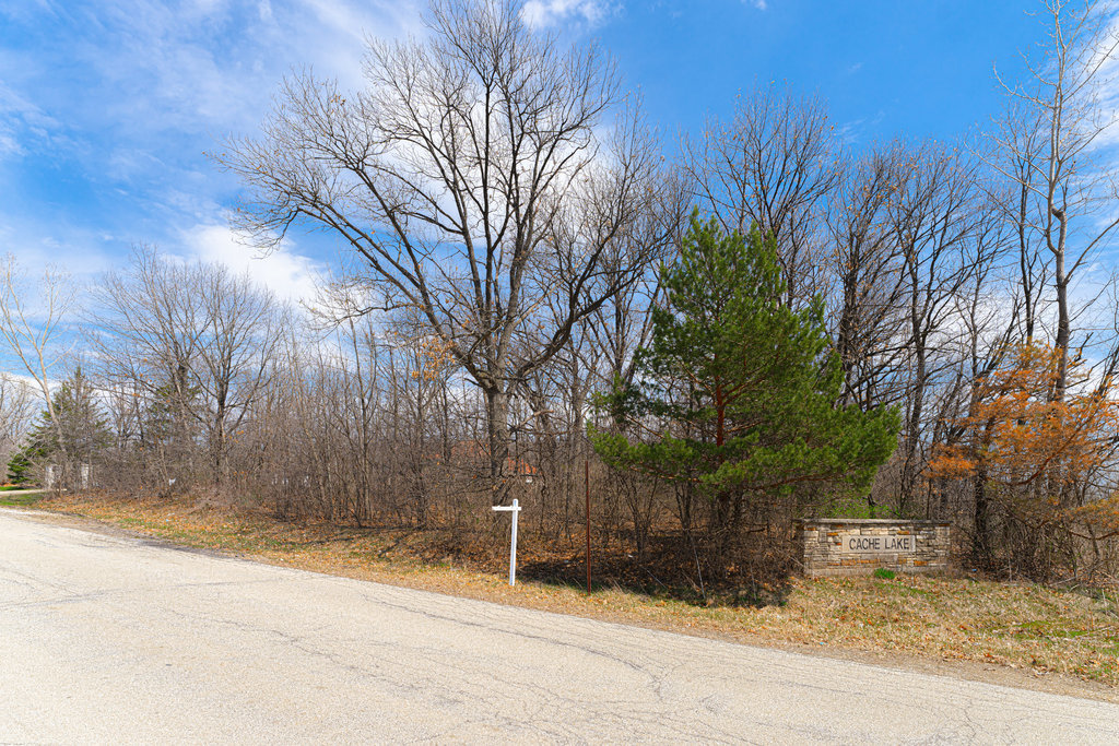 1365 Gordon Lane Lemont, IL 60439 - Photo 2 of 11 a street view with large trees