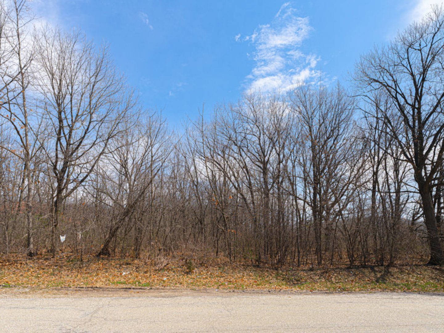 1365 Gordon Lane Lemont, IL 60439 - Photo 3 of 11 a street view with large trees