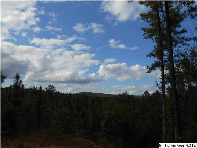 Meherg Road, Unit 28 Rockford, AL 35136 - Photo 21 of 25