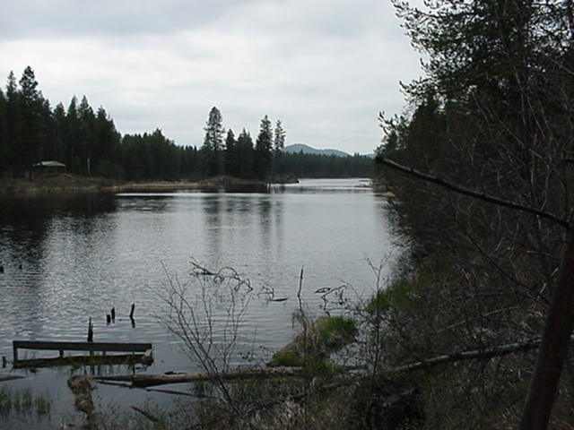 Xx Granite Road Newport, WA 99156 - Photo 1 of 1